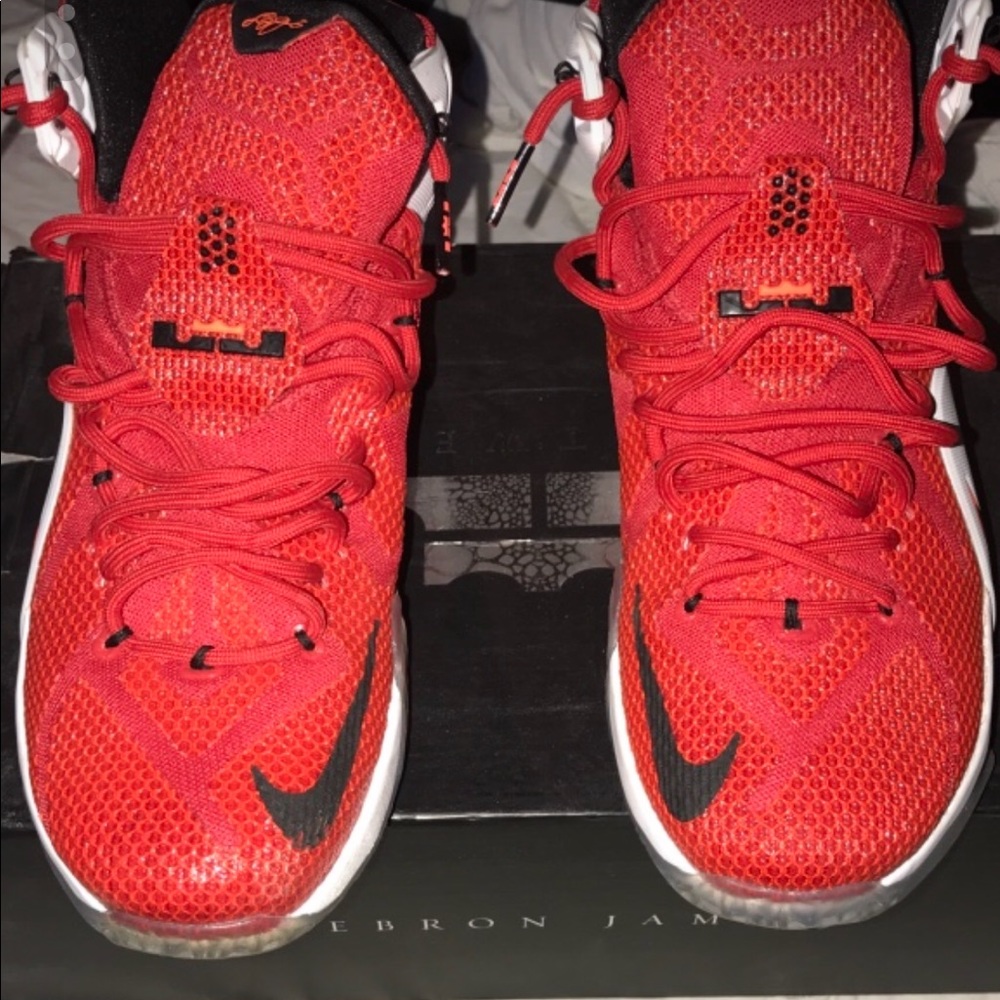 Lebron 12s